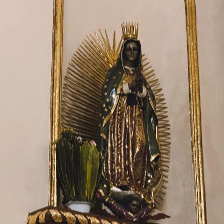 la virgen de guadalupe 